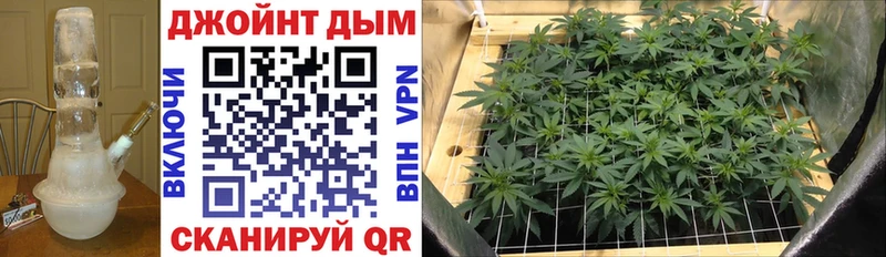 наркотики  Искитим  Бошки Шишки Ganja 